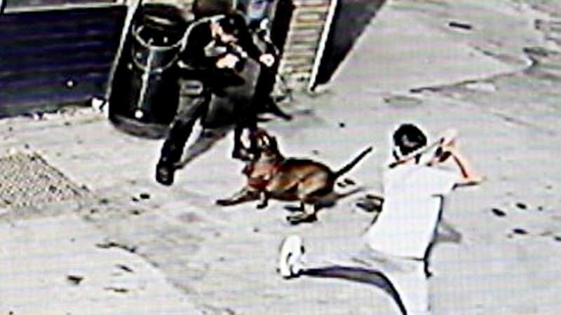 CCTV footage of a dog attacking members of the public on a garage forecourt in Birmingham (Image: SWNS)
