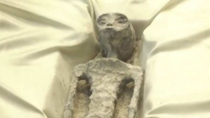 The experts claimed the creatures had been carbon dated to being 1,000 years old and that they had straight, horizontal fingerprints (Image: youtube/@ANC24/7)