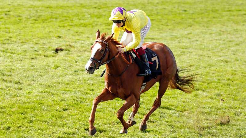 Newsboy’s ITV selections from Doncaster plus tips from Thursday
