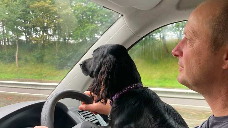 Stuart left the window open for his pup (Image: Submitted)