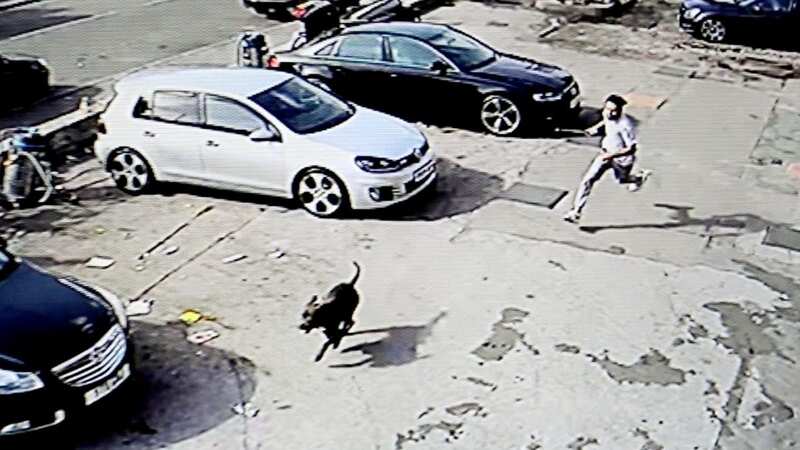 CCTV footage of the dog attacking members of the public in Birmingham shocked the nation (Image: SWNS)