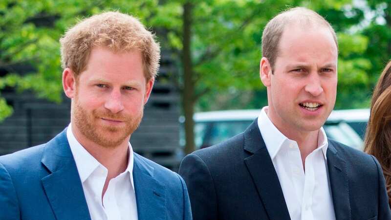 Prince Harry and Prince William have a tough relationship (Image: UK Press via Getty Images)
