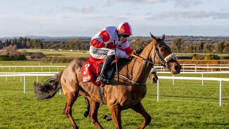 The Big Dog: died from colic (Image: ©INPHO/Morgan Treacy)