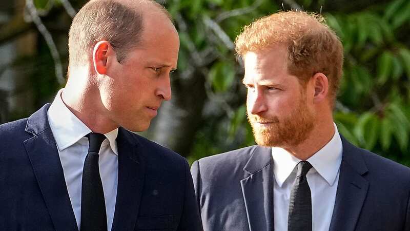 Prince William does not intend to bury the hatchet with Prince Harry, it is said (Image: AP)