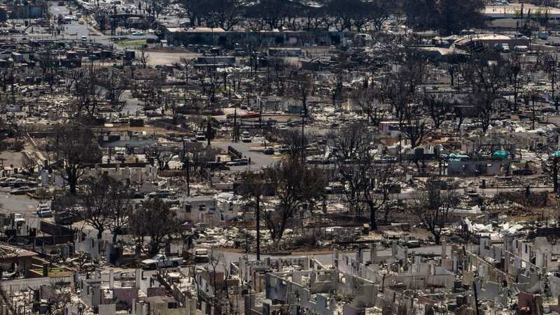 Devastating wildfires