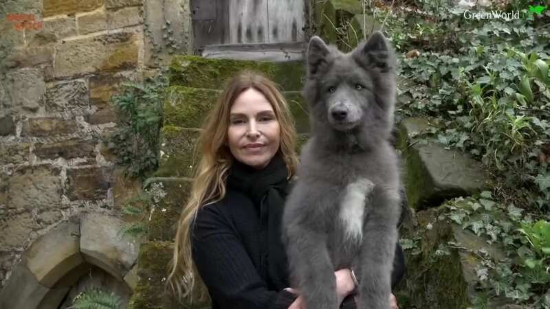 Vicki Spencer has created her own rare breed 