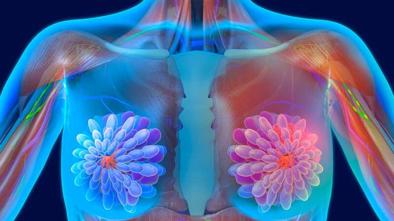AI acts as an expert, examining mammograms (Image: Getty Images/Science Photo Library RF)