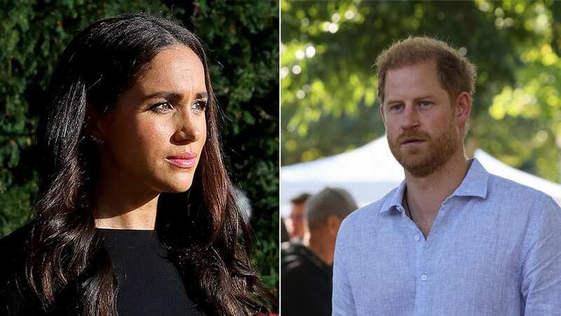Meghan Markle and Prince Harry have different career goals as they branch out on their own projects
