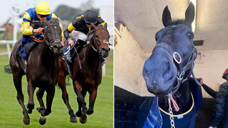 Zina Colada (left) winning the Friary Farm Caravan Park Fillies Handicap at Yarmouth and right, in her stable (Image: RACINGFOTOS.COM/Rosie Margarson)