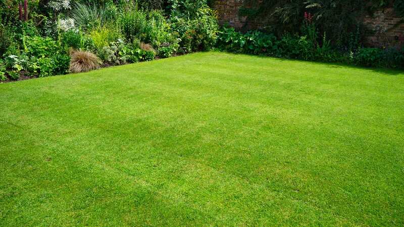 An expert has shared his impressive gardening trick (Image: Getty Images/iStockphoto)