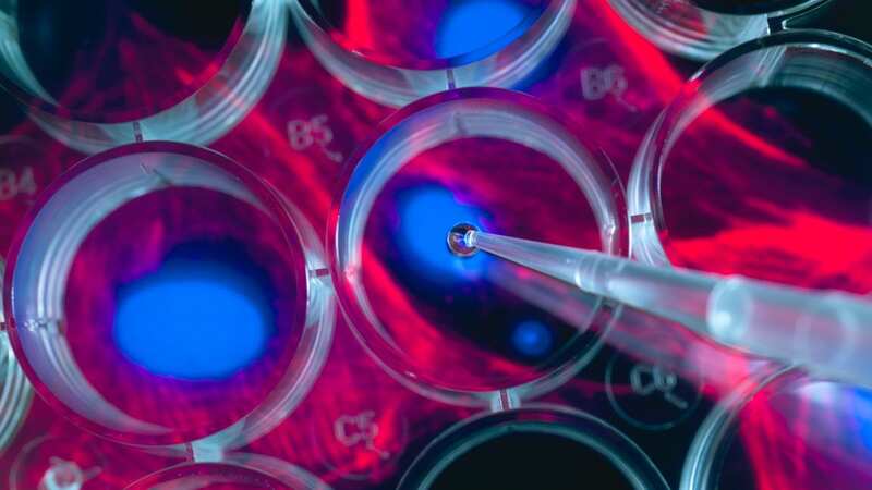 Researchers have developed a machine learning model to find old cells (Stock photo) (Image: Getty Images/Image Source)