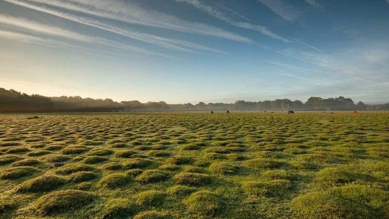 The mysterious bumpy terrain looks like something from a lunar landscape (Image: MattPinner/BNPS)