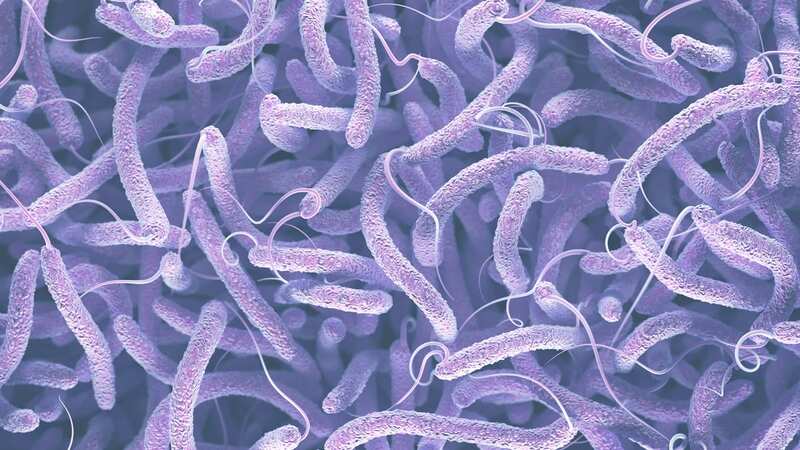 There are currently 24 countries reporting active outbreaks of cholera (Image: Getty Images/iStockphoto)