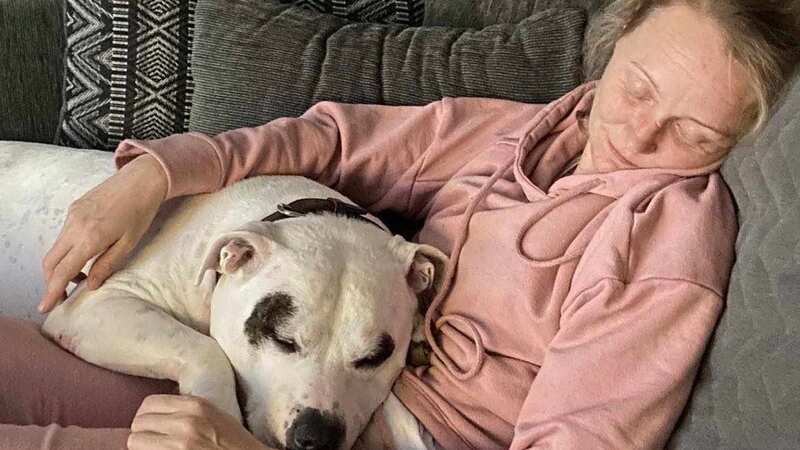 Chase, a Staffordshire bull terrier cross with owner Irene McGhee (Image: Irene McGhee / SWNS)