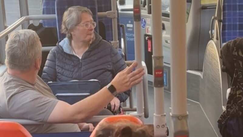 Bus driver gives abusive passenger total dressing down in hilarious viral TikTok