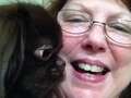 Flight attendant found dead in hotel room with 'cloth' in mouth is pictured dqxikeidqkikdinv