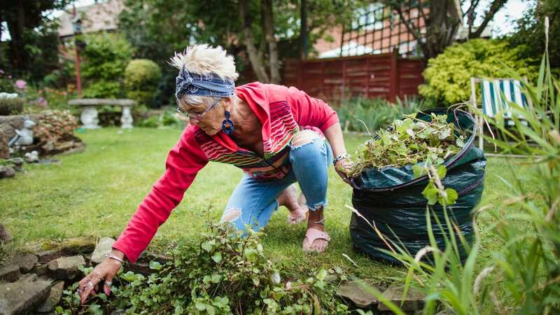 The pro has shared a natural alternative to killing weeds (stock photo) (Image: Getty Images)