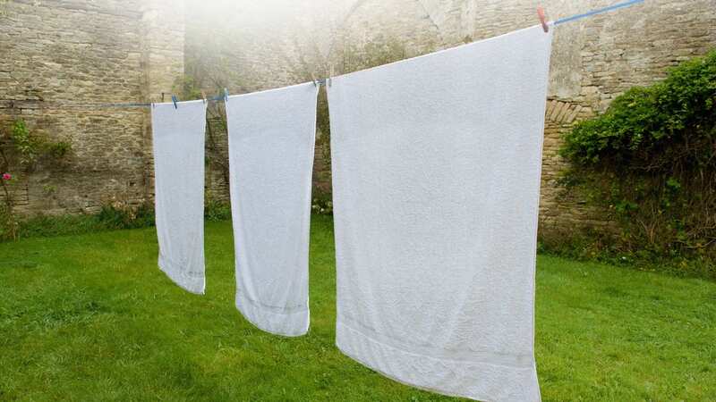 This is how you can revive your old white towels (Image: Getty Images/Image Source)