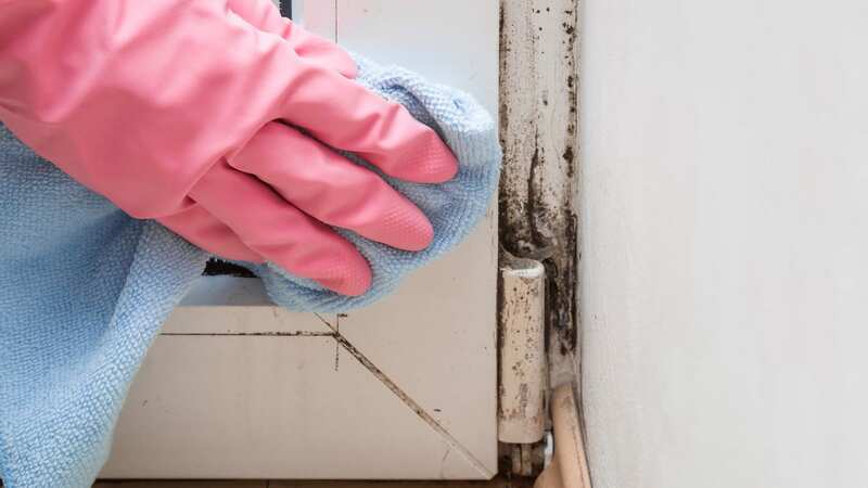 Mould is a lot more common in winter (stock photo) (Image: Getty Images/iStockphoto)