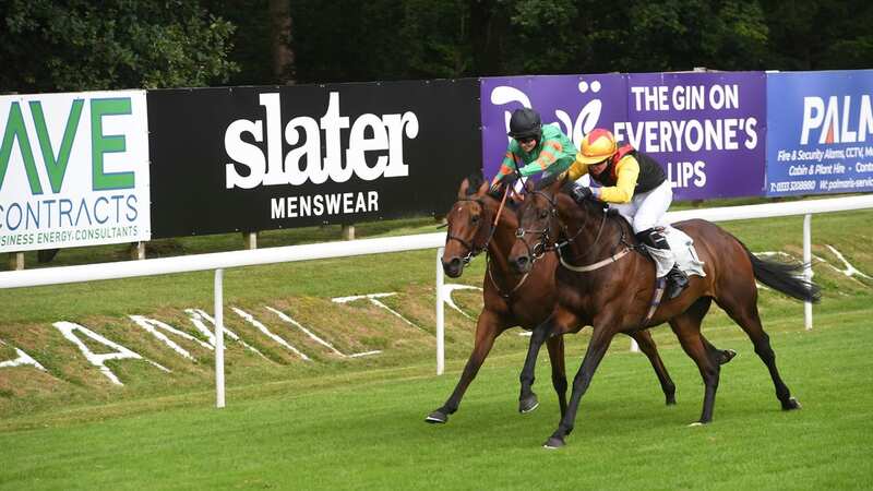 Hamilton Park Racecourse hosts a seven-race card on Monday where Newsboy