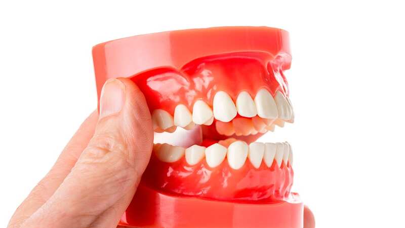 Restricting calories could do wonders for your teeth (Image: Getty Images/Science Photo Library RF)