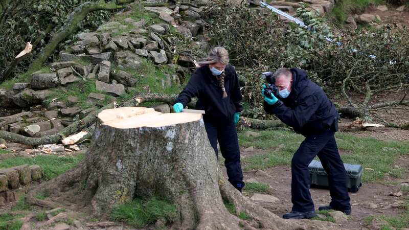 Forensic Officers from Northumbria Police take photographic evidence as part of their probe (Image: Newcastle Chronicle)