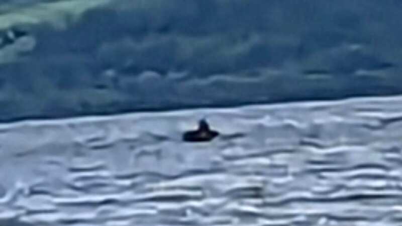 Fiona Wade insists she saw a 12ft creature in the loch, near Inverness, Scotland on August 31 (Image: Jam Press)