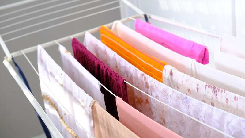 One woman decided to put her heated airer to the test (Image: Shutterstock / Kittyfly)