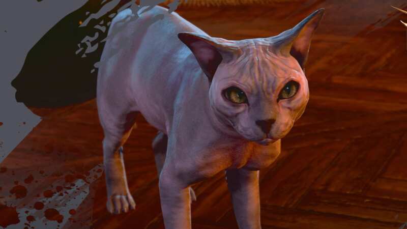 Hotfix #8 fixes several bugs and makes it so companions no longer overburden you when dismissed (Image: Larian Studios)