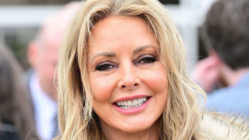 Carol Vorderman vows to stay single as MAFS 