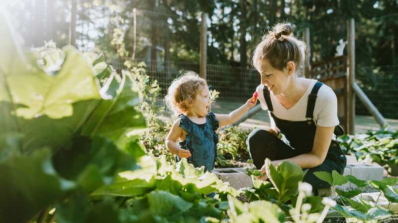 October is the best time to make sure your garden is winterproof (Stock Image) (Image: Getty Images)