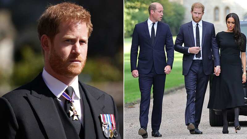 Harry could have been drawn to Meghan because he wasn