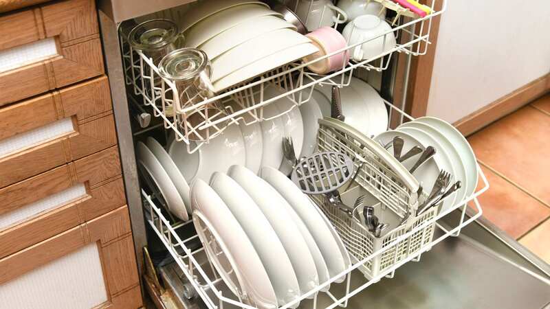 An expert has revealed how to correctly stack a dishwasher (stock photo) (Image: Getty Images)
