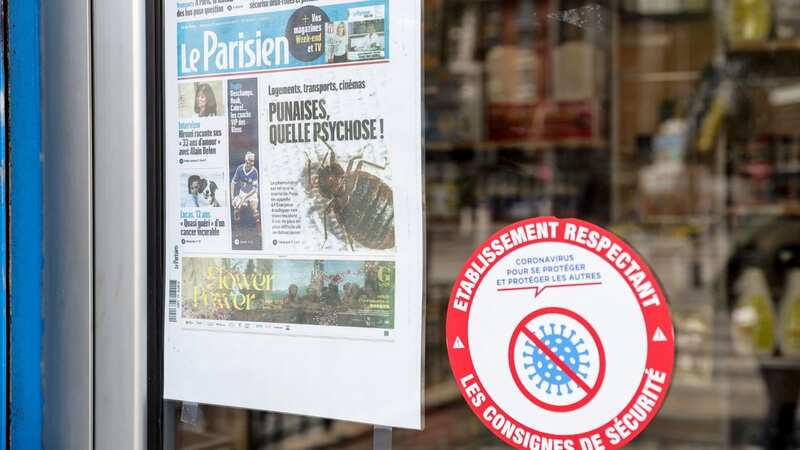 Pest control experts are struggling to contain the "super bedbugs" (Image: TERESA SUAREZ/EPA-EFE/REX/Shutterstock)