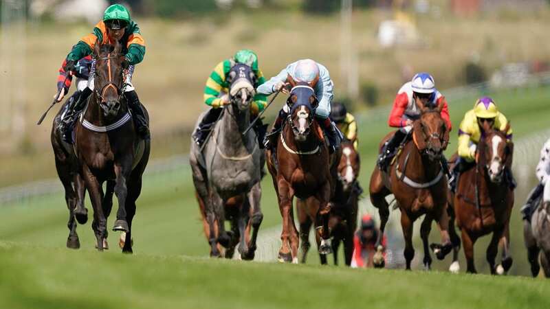 Brighton hosts a seven-race card on Tuesday where Newsboy
