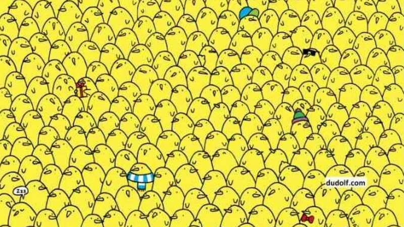 You need to spot five lemons in 15 seconds (Image: Gergely Dudás)