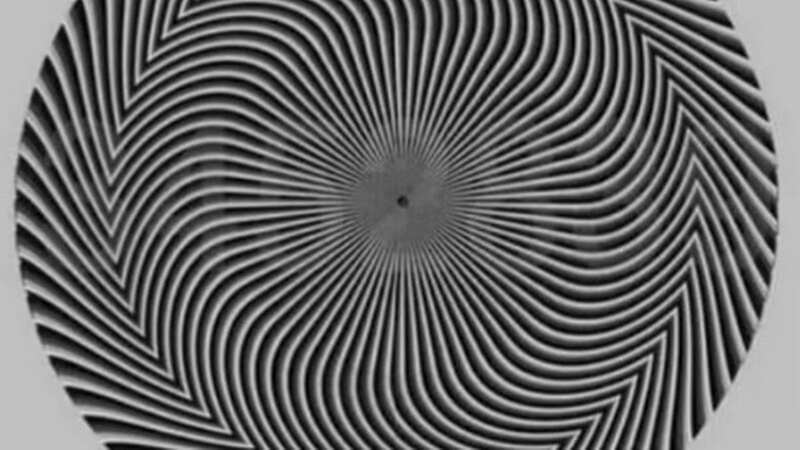 This tricky optical illusion will test how good your eyesight is (Image: @benonwine/Twitter)