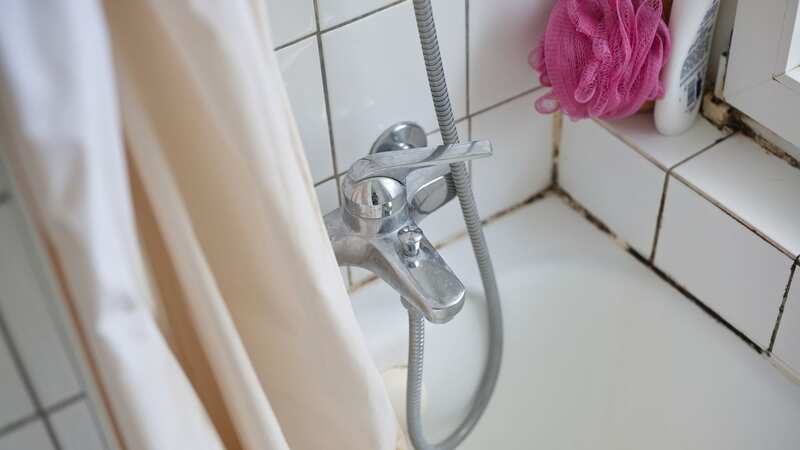 The bathroom accessory is a breeding ground for bacteria (stock photo) (Image: Getty Images/iStockphoto)