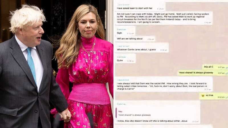 Messages displayed to the Covid Inquiry show complaints about Carrie Johnson