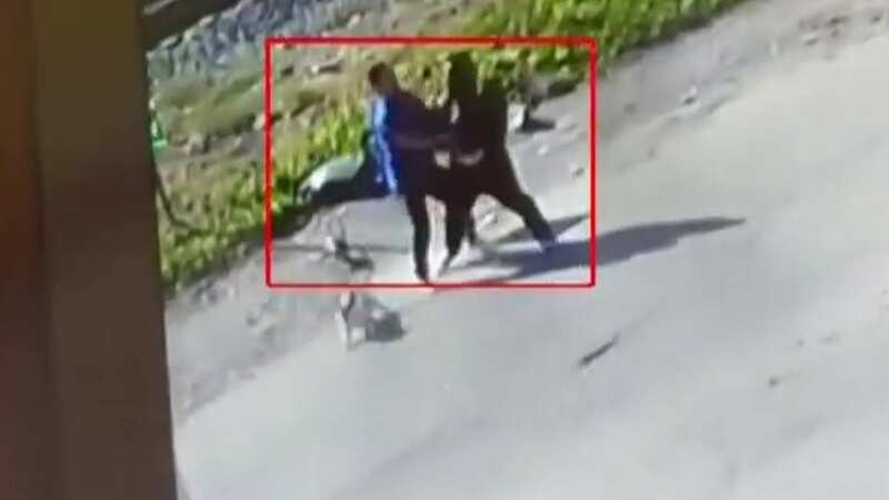 Robber caught on camera snatching expensive bulldog off of owner