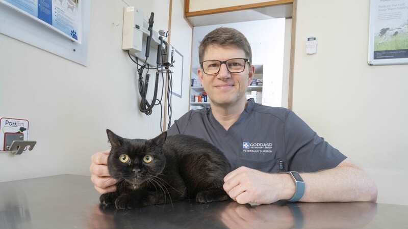 Owner Alisha Pati-Alam took Atlas to get help and Wanstead Veterinary Hospital vet John Gardner stepped in (Image: VetPartners)