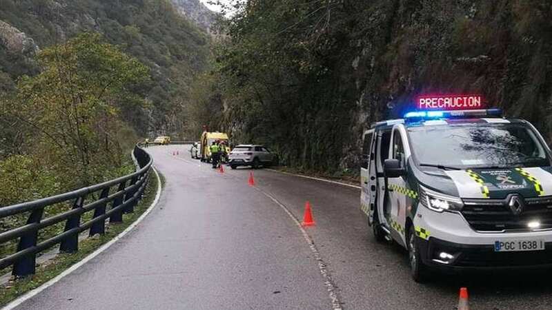 The 48-year-old was killed instantly after the rock, said to weigh nearly 20 stone, came loose from a hill overlooking the road (Image: SOLARPIX.COM)