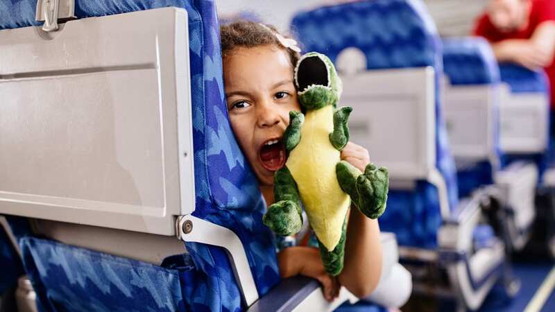 Opinion is split when it comes to the child-free zones (Image: Getty Images)