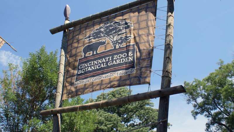 The incident happened at an American zoo (Image: FlickreviewR / Wikimedia Commons)