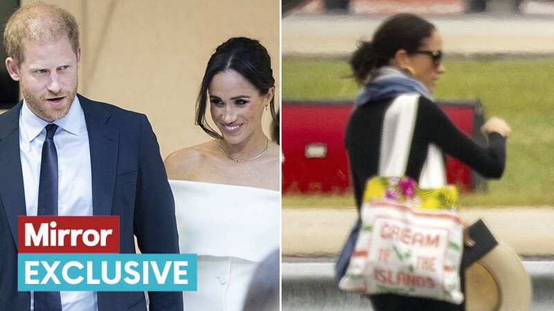 Prince Harry and Meghan Markle seemed 