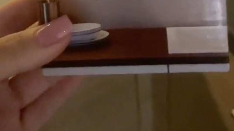 Primark shoppers rave about £2 light they 