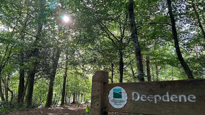 The skeletal remains were found in Deepdene woods in 1990, but could be much older (Image: Locate International/Triangle News)