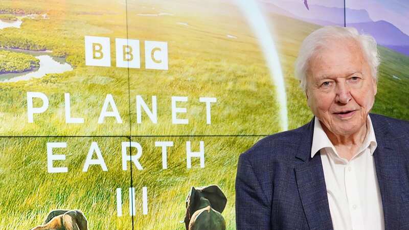 The Planet Earth cameramen say getting close to the predators, who killed two humans in 2022, the year after they left the bay, was 