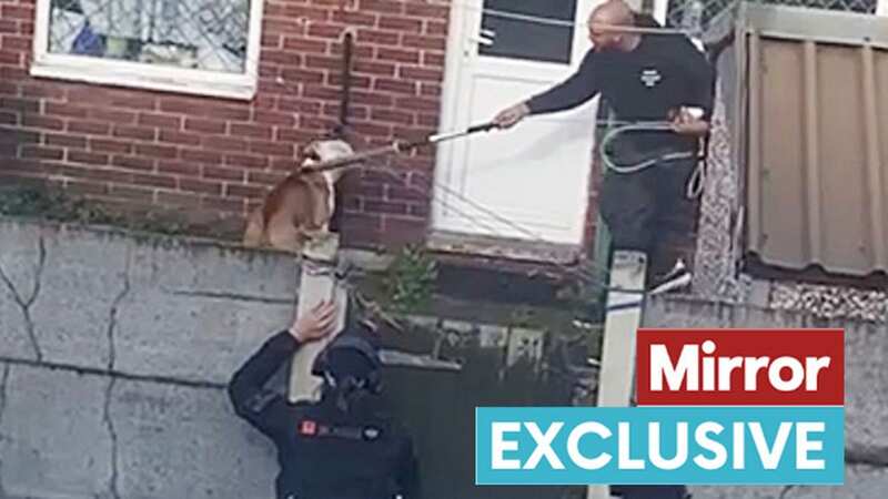 Dog seized by police in attack left schoolboy, 12, with life changing injuries