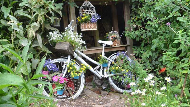 A bicycle planter display in the town (Image: No credit)